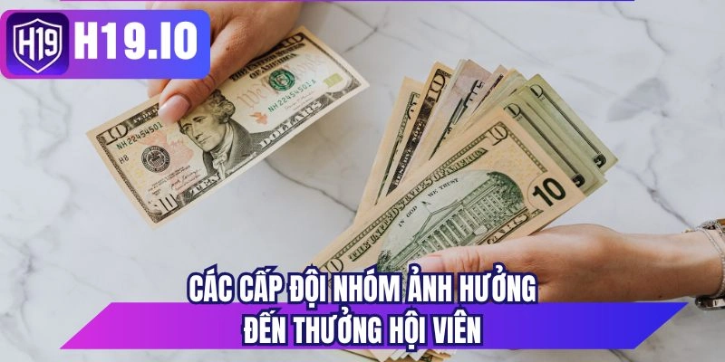 Các cấp đội nhóm ảnh hưởng đến thưởng hội viên