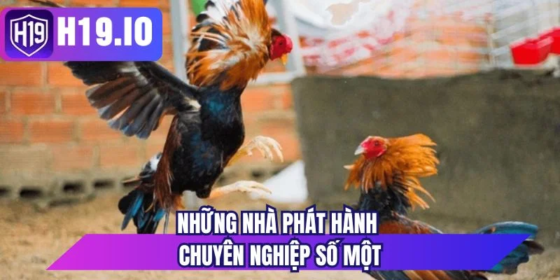 Những nhà phát hành chuyên nghiệp số một 